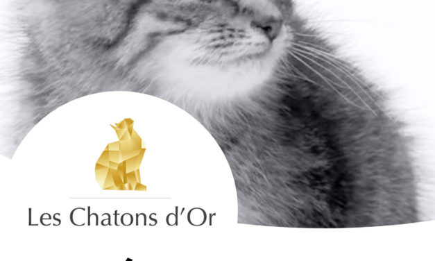 Les Chatons d’Or 2014